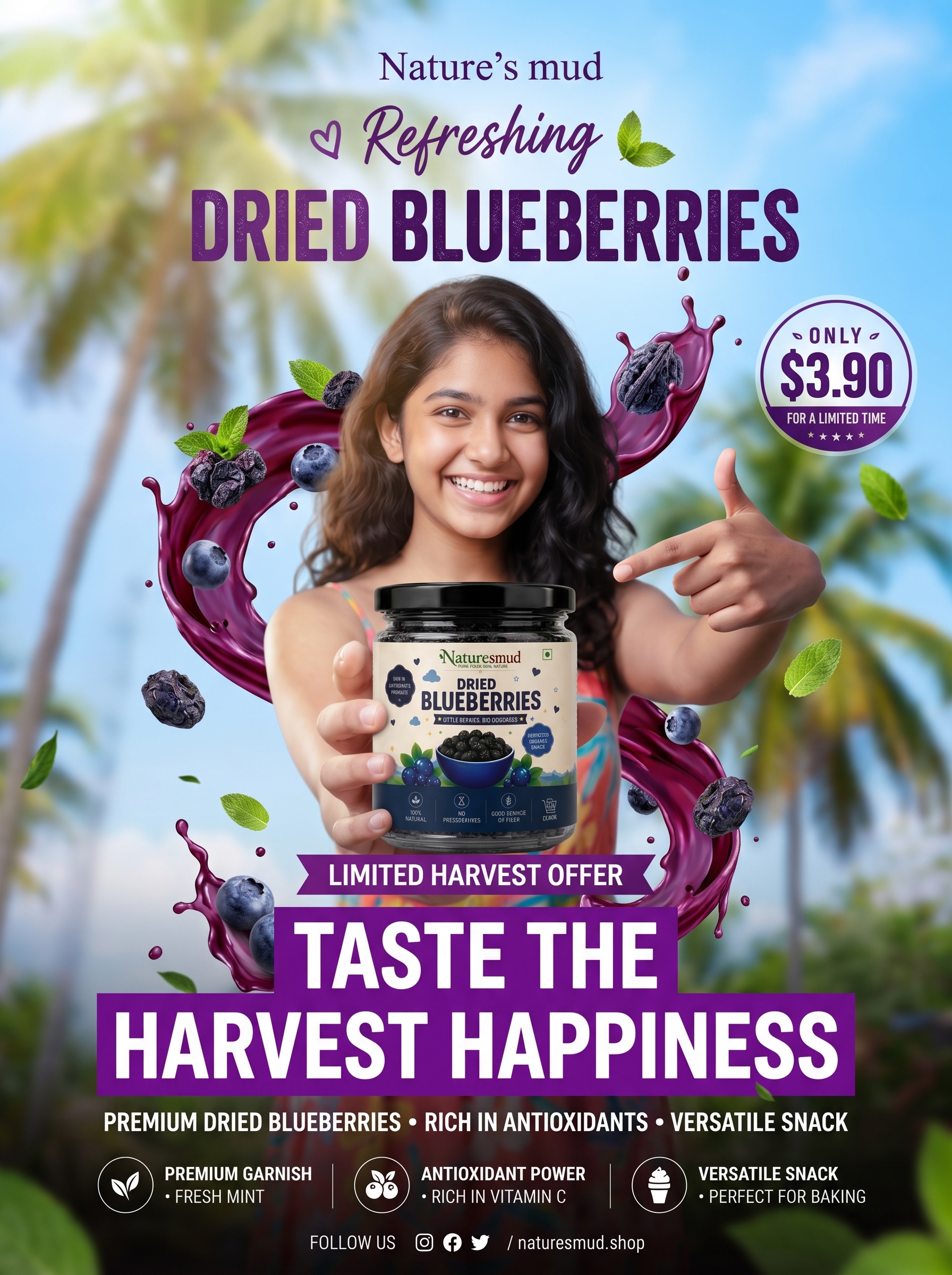 Dried Blueberries (100 GM) — Whole Plump Berries